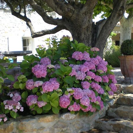 Bed and Breakfast Bastide De Fontvieille Saint-Cyr-sur-Mer Exterior foto