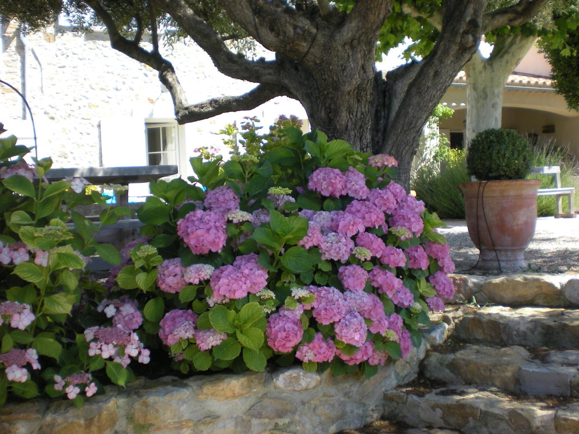 Bed and Breakfast Bastide De Fontvieille Saint-Cyr-sur-Mer Exterior foto